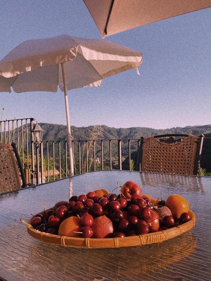 La Pianella Farmhouse Лукка Екстер'єр фото